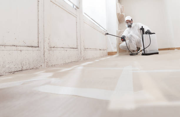 24/7 Emergency Mold Remediation experts in Camp Hill, PA