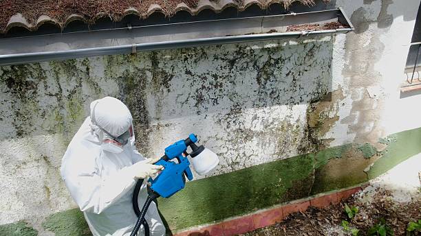 Top rated local Mold Remediation specialists in Camp Hill, PA